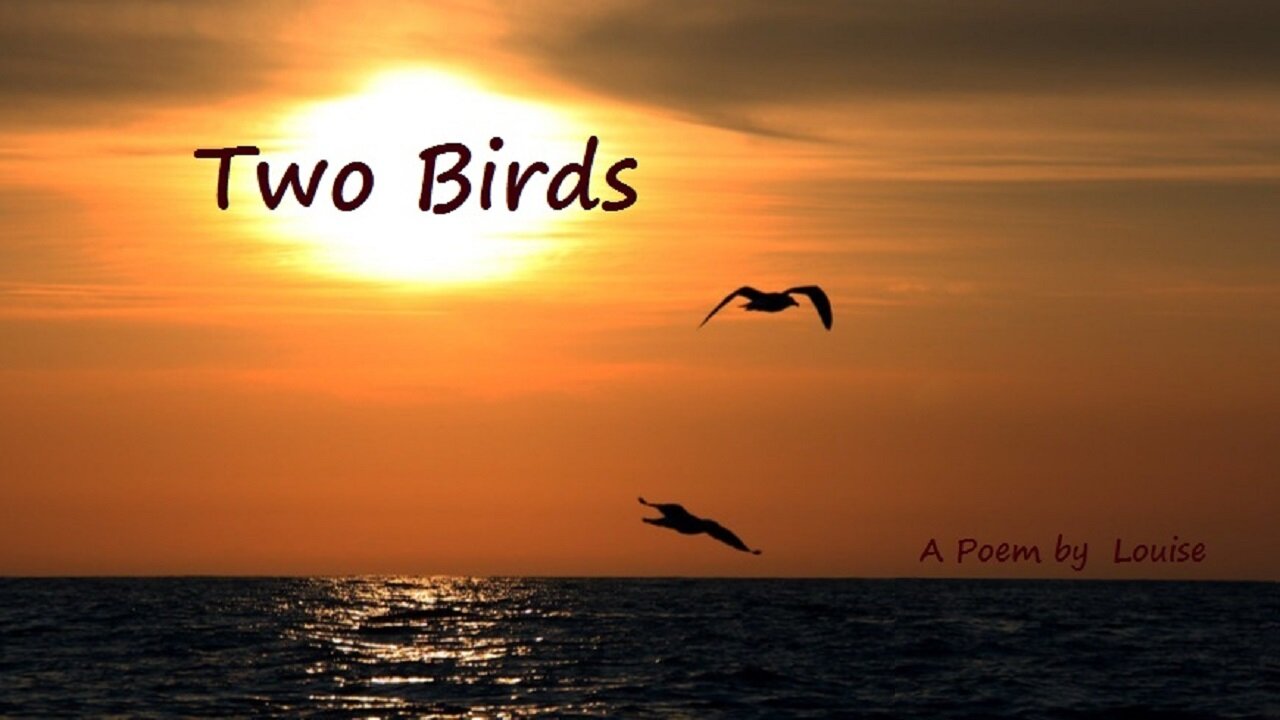 Two Birds