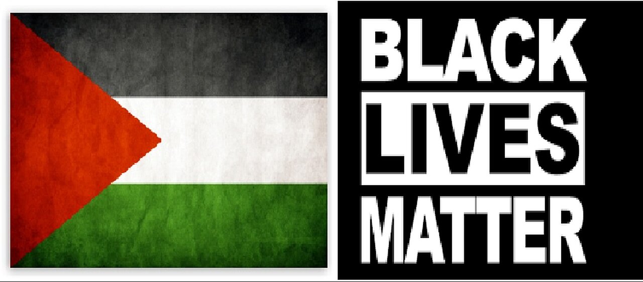 Palestine protest v BLM riots