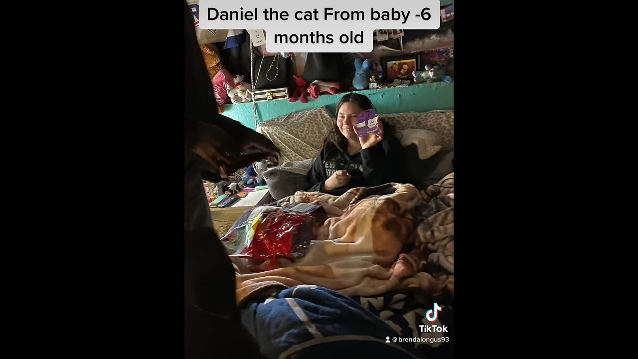 Daniel the cat From Baby To 6 Months