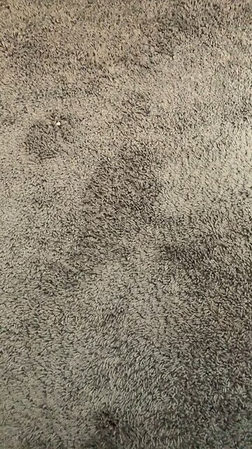 D13 public scheduled