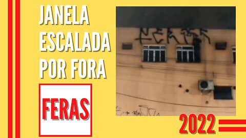 FERAS nnm ESCALADA POR FORA PRA CHEGAR NAS JANELAS 2022