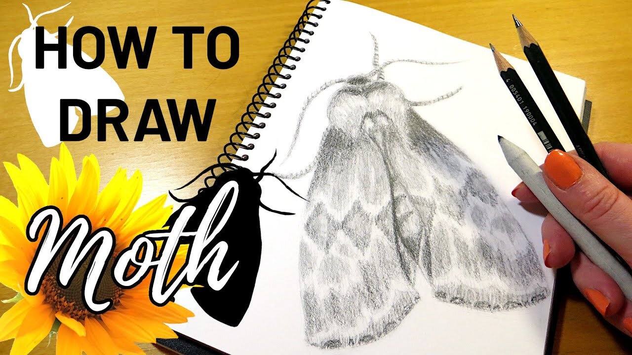 Realistic Moth Pencil Drawing Tutorial