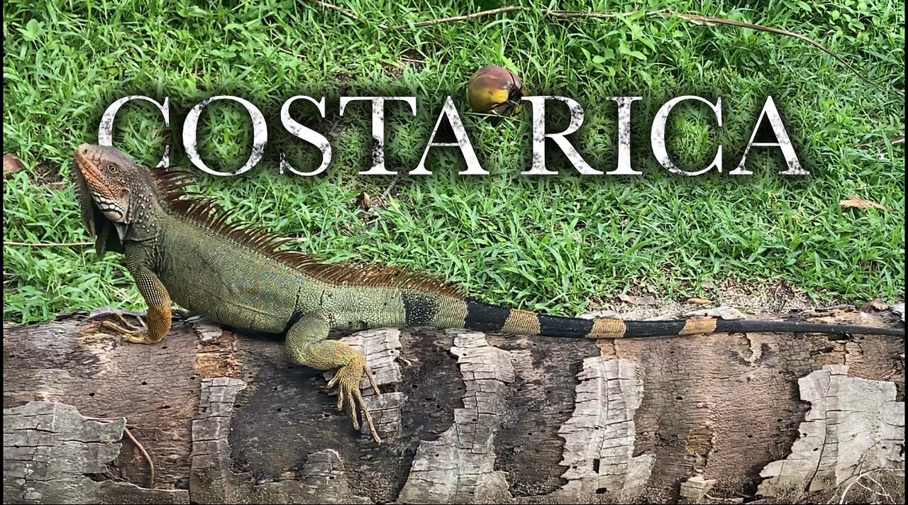 COSTA RICA / World Travel with Kids