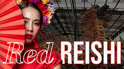 "Oh, Red Reishi, you lift my soul" (EDM Pop single about the adaptogenic solace you need)