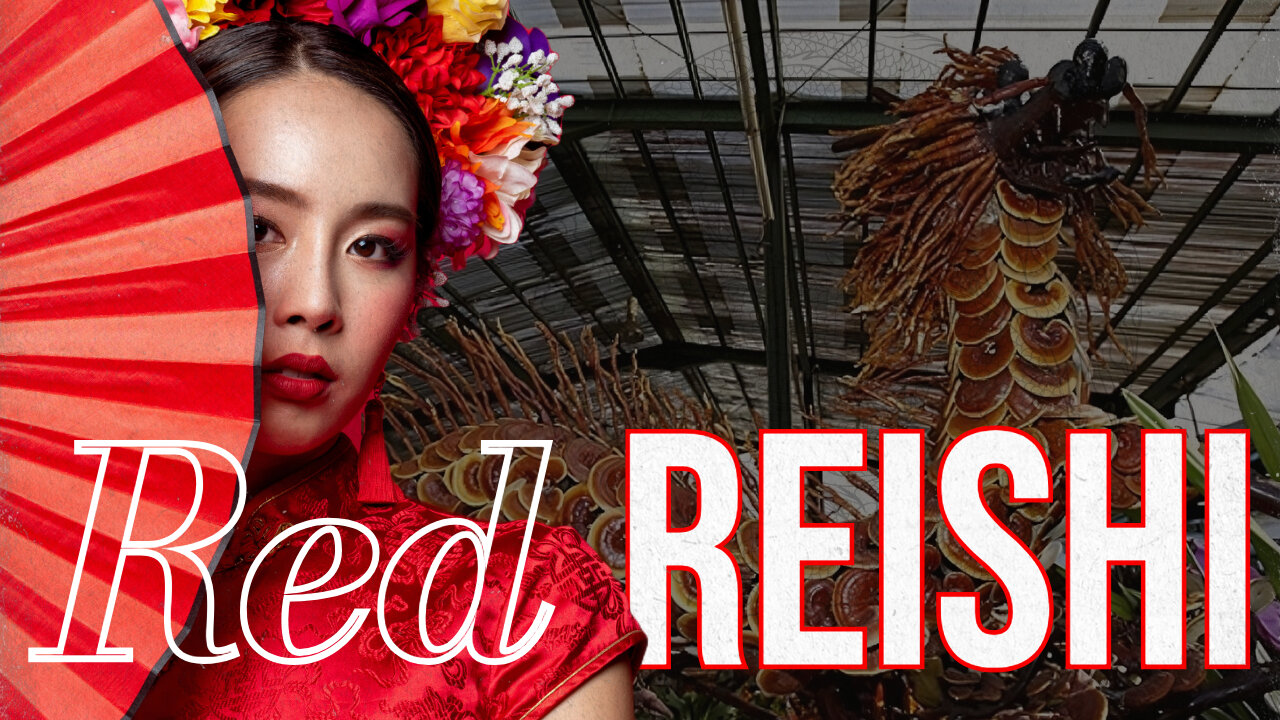 "Oh, Red Reishi, you lift my soul" (EDM Pop single about the adaptogenic solace you need)