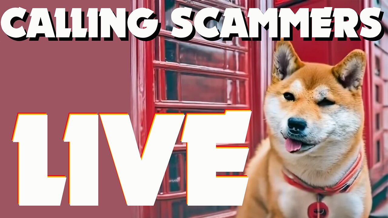 Calling Scammers Live - 3rd Dec 2024