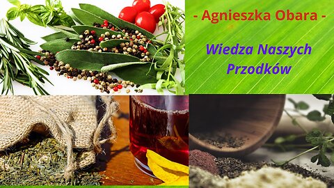 Wiedza Naszych Przodków - Agnieszka Obara