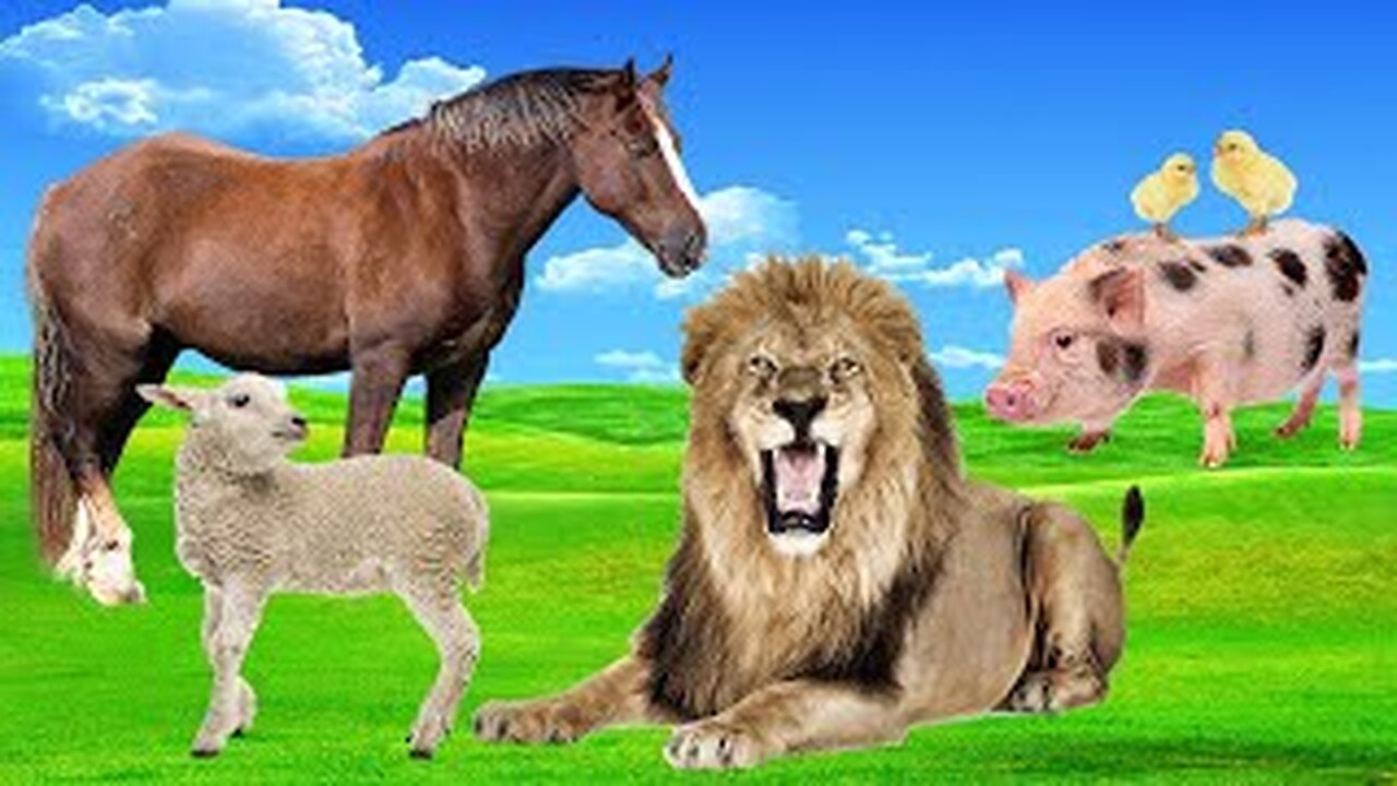 Wild animal sounds - predators - domestic animals - dog, cat, lion, tiger