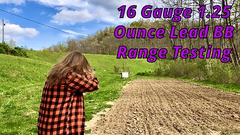 16 Gauge 1.25 Ounce Lead BB Load Range Testing