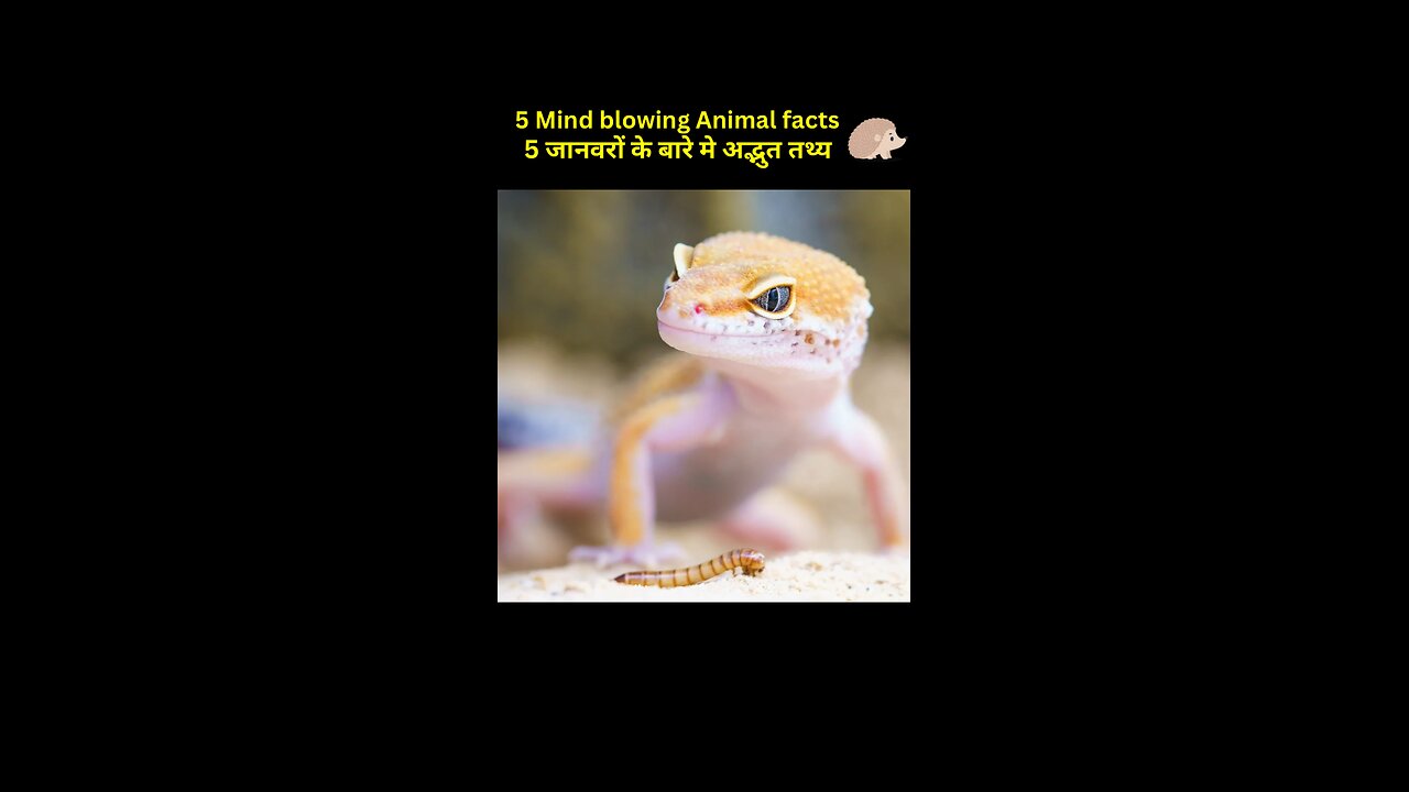 Mind blowing facts about animals | Amazing facts in Hindi | Crazy facts Top 5 | #shorts #facts