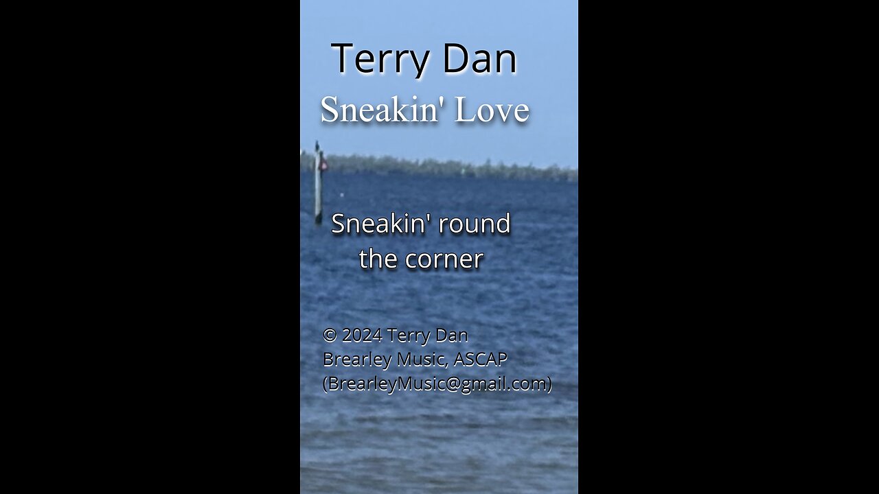 Sneakin' Love | Terry Dan