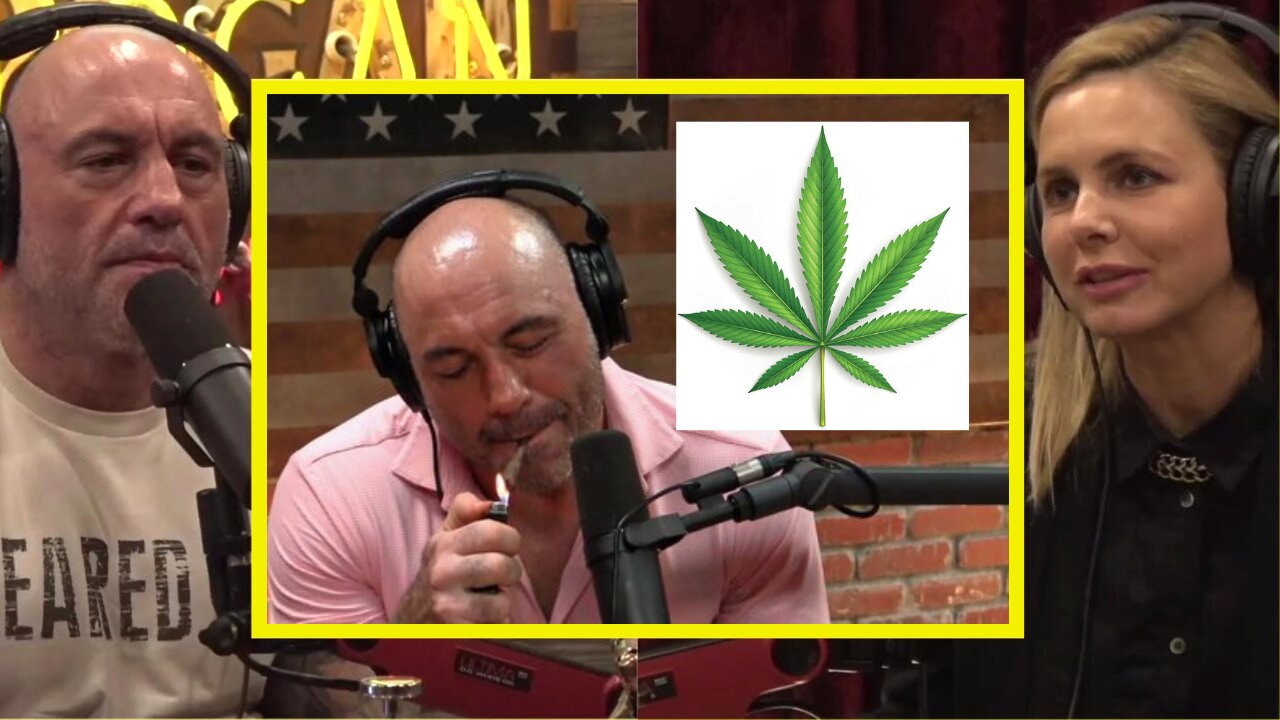 "I'm a POT Evangelist & It CHANGED ME " with Mariana van Zeller | JRE