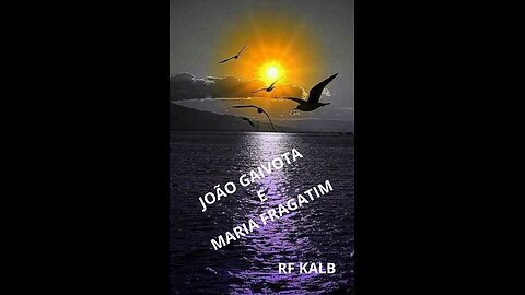 GAIVOTAS E FRAGATAS