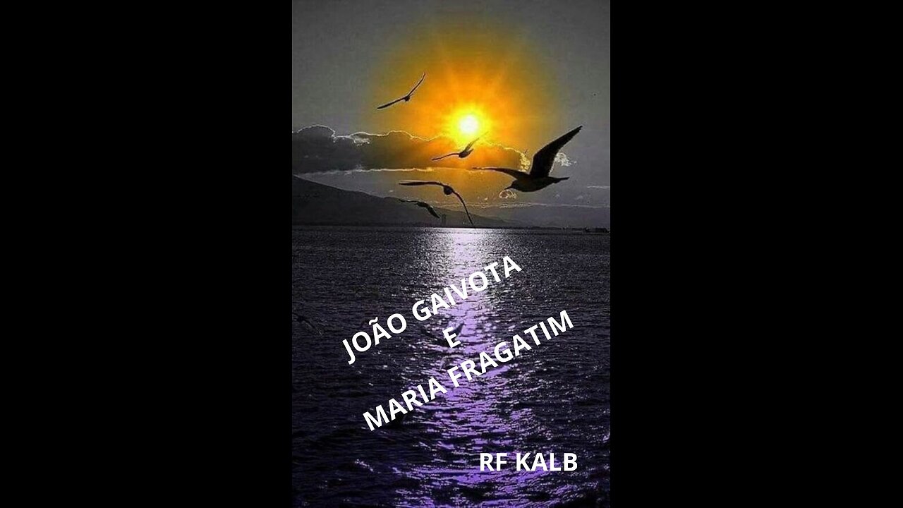 GAIVOTAS E FRAGATAS