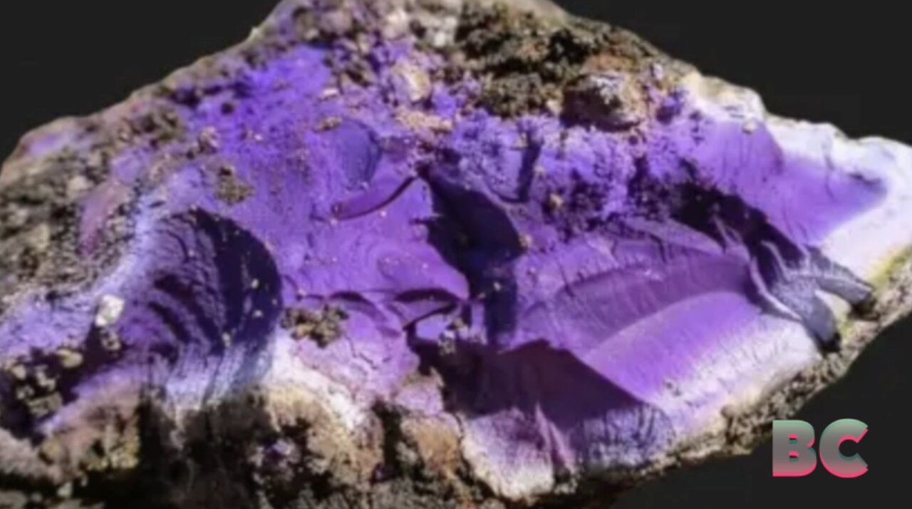 “Incredibly rare” ancient purple dye that was once worth more than gold found in U.K.