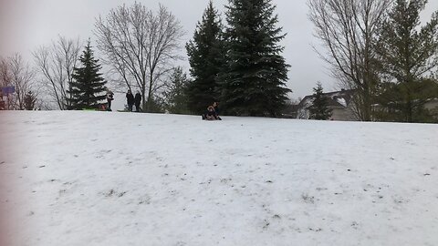 Tobogganing 😍