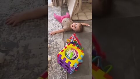 Funny cats and dogs