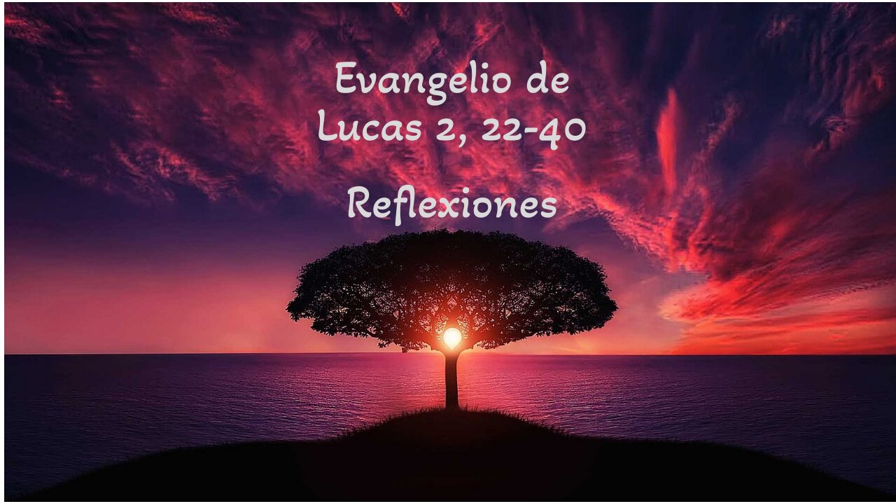 Reflexiones sobre el Evangelio de Lucas 2, 22-40