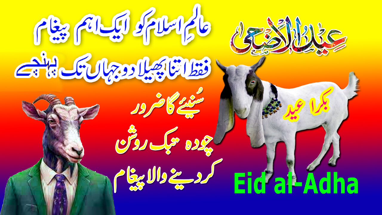 Eid Ul Adha Status | Bakra Eid Mubarak Whatsapp Status 2024