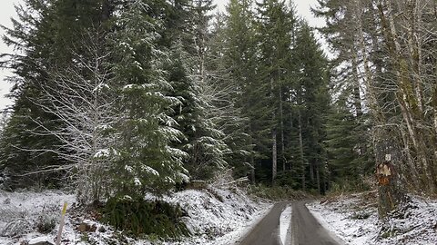 Music Road in the snow