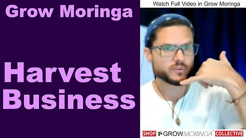 Start Your Moringa Pruning and Harvesting Business as Contractor for The Grow Moringa Collective