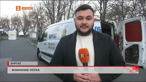 Пътен знак предупреждава за котки