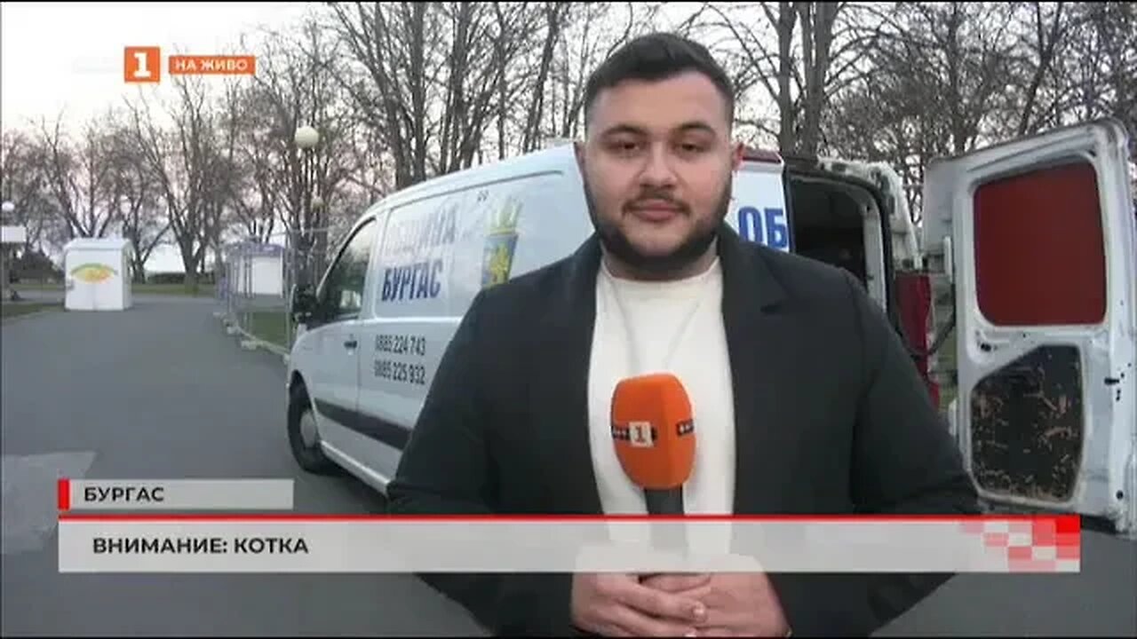Пътен знак предупреждава за котки