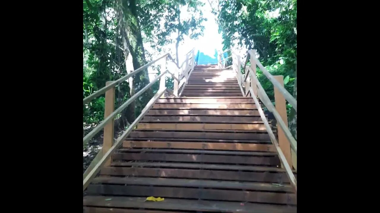 SUBINDO OS DEGRAUS DO MONUMENTO PADROEIRA MIRANTE NOSSA SENHORA APARECIDA CONCEIÇÃO #shorts