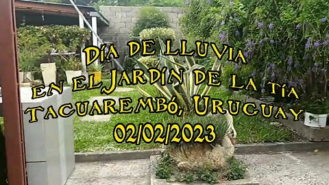 Día de lluvia en el jardín de la tía. Tacuarembó, Uruguay (02/02/2023)