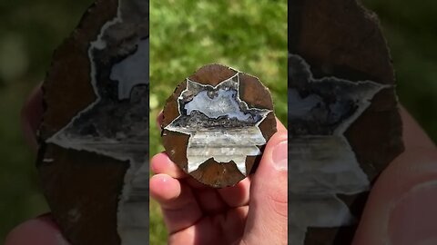 “Landscape” Thunder Egg cut open!