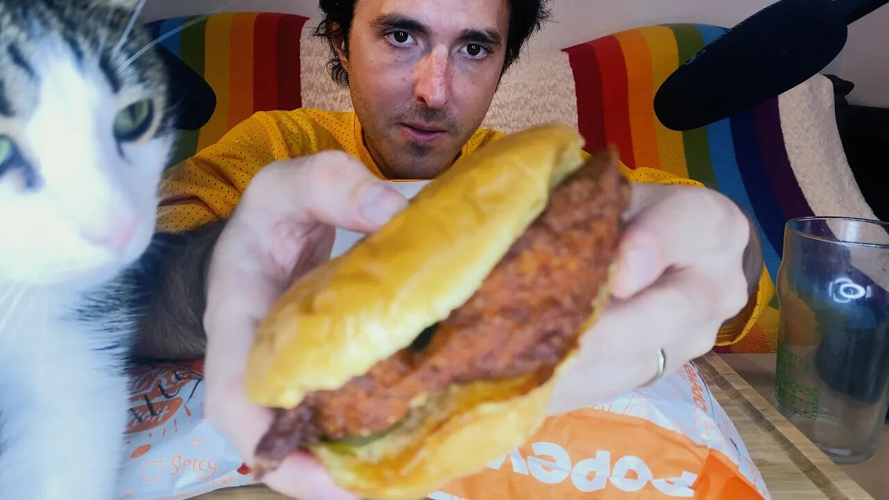 ASMR POPEYES BLACKENED CHICKEN SANDWICH ! * no talking bites only mukbang * 먹방