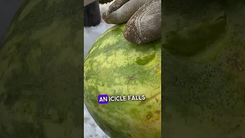 Icicle vs Watermelon! Will icicles stab you?