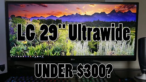 The Affordable LG 29" Ultrawide Monitor Review