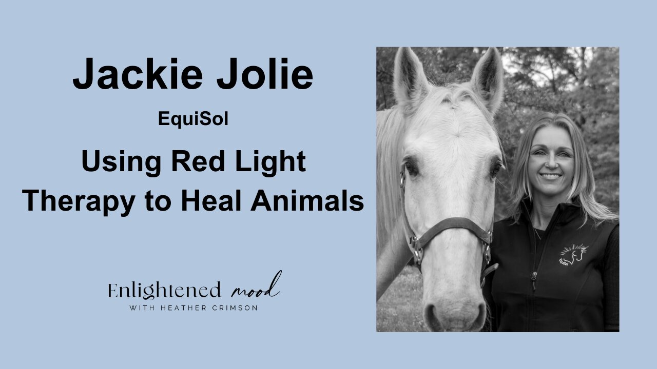 Jackie Jolie of EquiSol: Using Red Light to Heal Animals