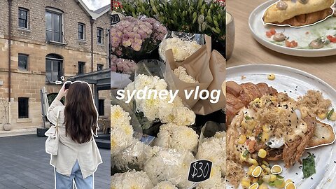 sydney vlog 🏖 bondi beach, brunches, going out with friends, koi dessert, night walks in the city