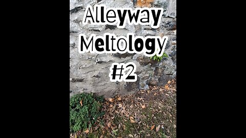 Alleyway Meltology #2