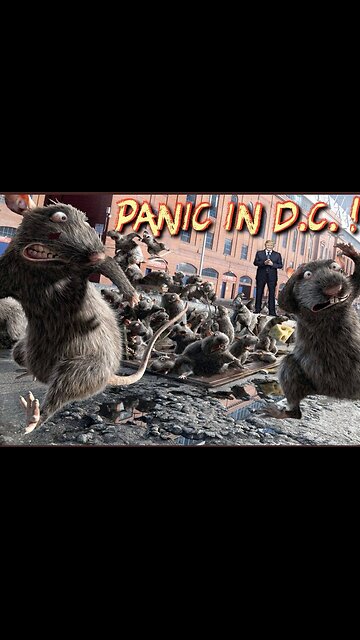 THE RATS ARE RUNNING, BUH-BYE