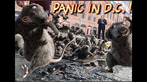 THE RATS ARE RUNNING, BUH-BYE