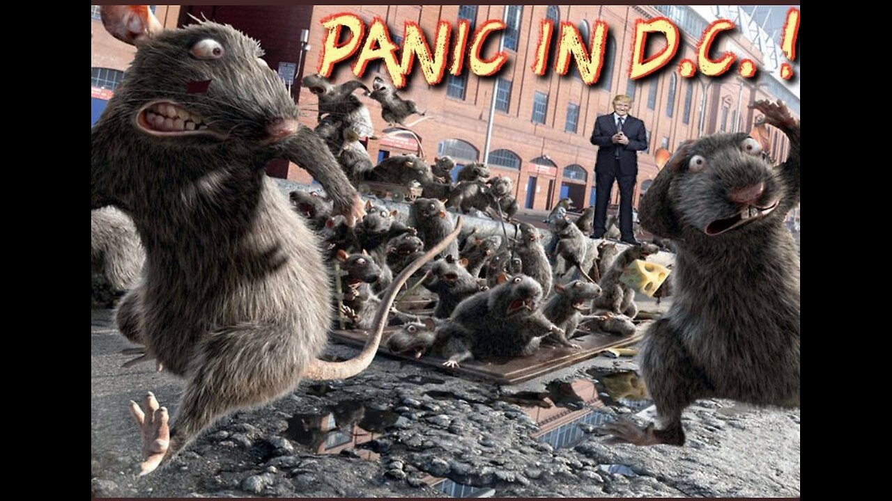 THE RATS ARE RUNNING, BUH-BYE