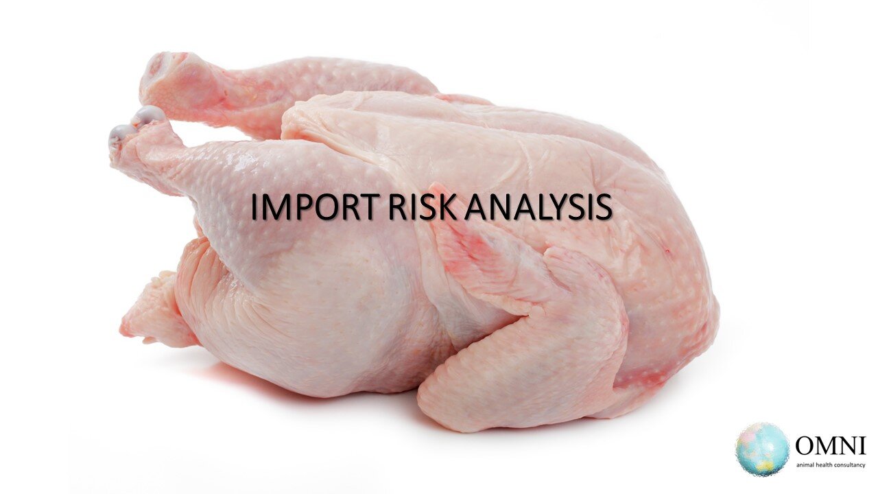 Understanding Import Risk Analysis