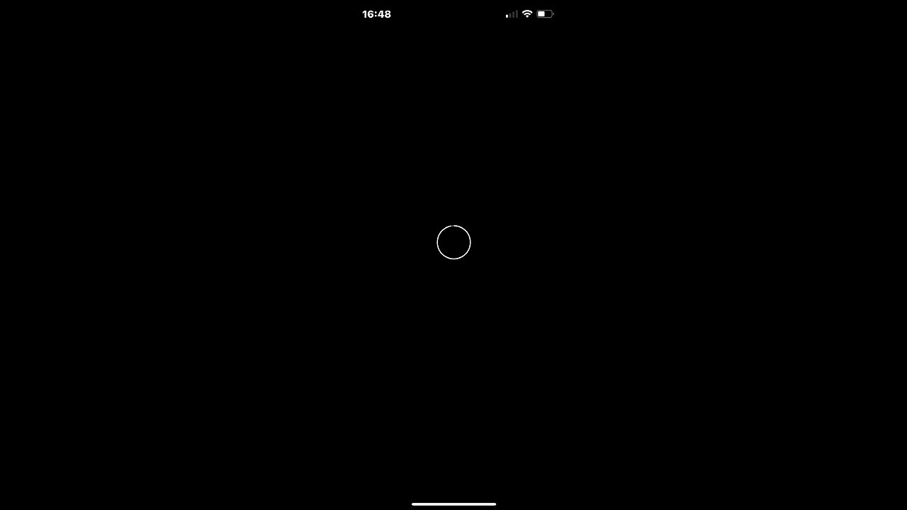 🎼🦁🪴🪴🦅🪴🪴🦁🎼