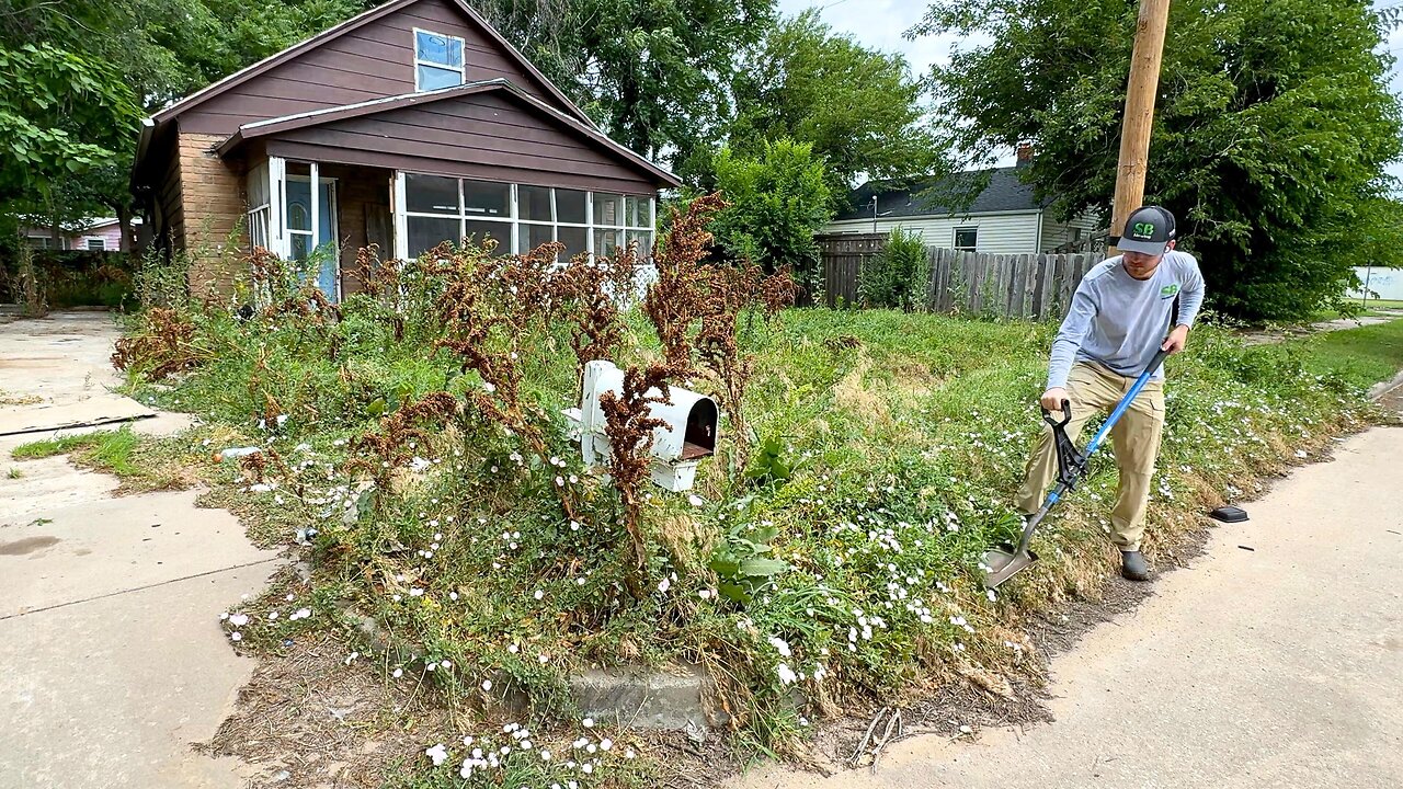 PADLOCKED home was left TOO LONG and this is what it turned into