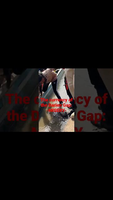 Joe's Biden policy encourage migrants to pay their journey with the only currency possible, misery.