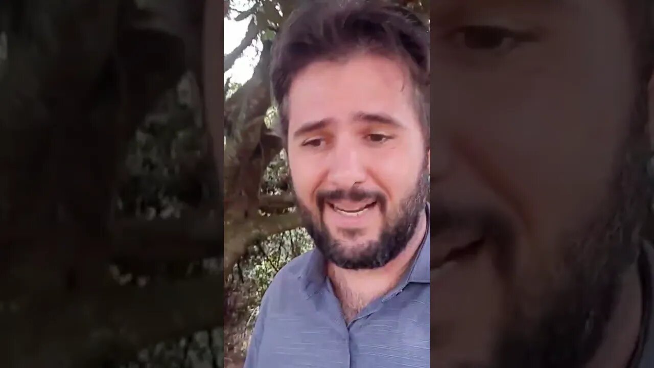 Dados ou informação