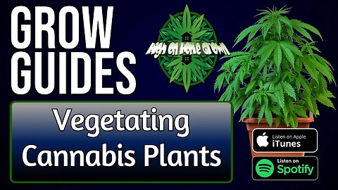 Vegetating Cannabis Plants | Grow Guides Episode 7