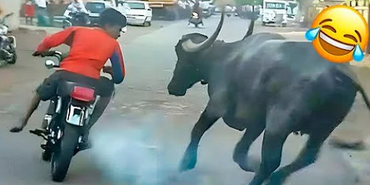 Funny Videos Compilation 🤣 Pranks - Amazing Stunts