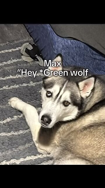 Made by good friend special thanks