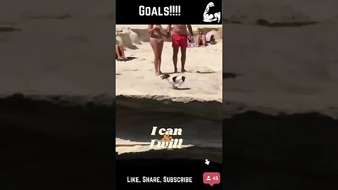 Just Go For IT!!!!!!!!!!!!! Dream on 🐕🐕🐕#viral #tiktok #funny #pets #shorts #short #nomadradio