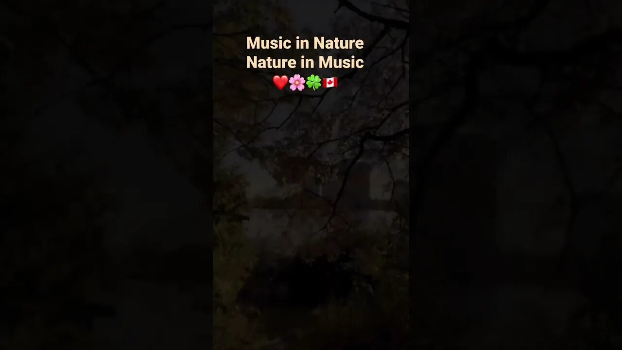 Invitation for Music in Nature | Higher Love
