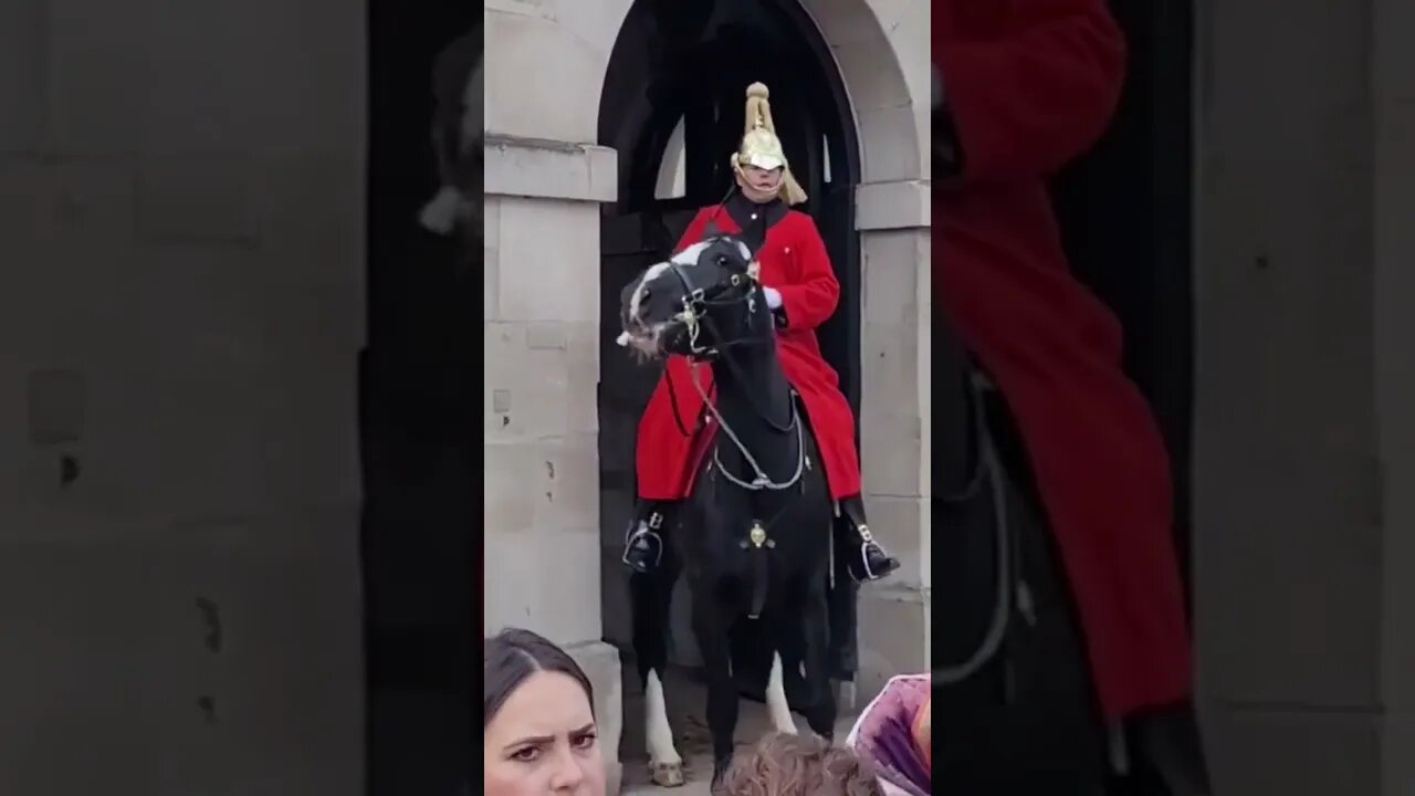 biker's scare the kings guards horse #horseguardsparade